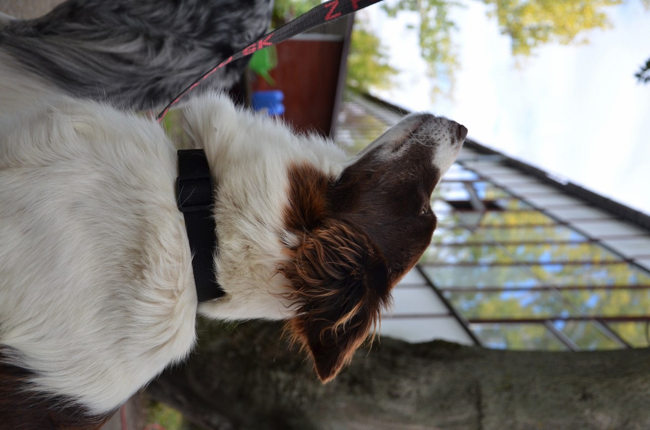 DSC_0559_1280x848.jpg
